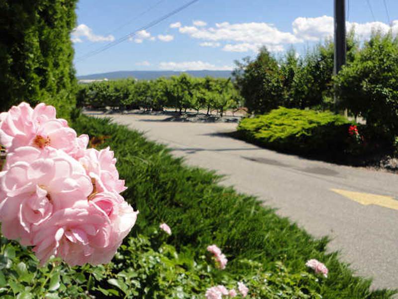 Apple Valley Orchard & RV Park Kelowna, British Columbia