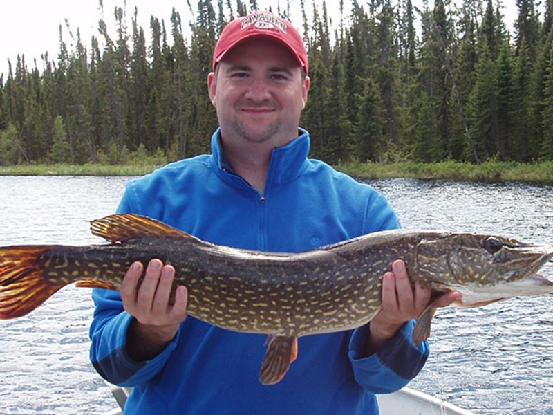 Joyce Lake Outpost, Kenora, Red Lake, Dryden, Sioux Lookout, Thunder