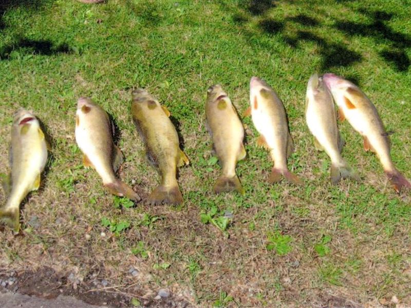 Camp La Plage West Nipissing North Bay And Lake Nipissing Ontario