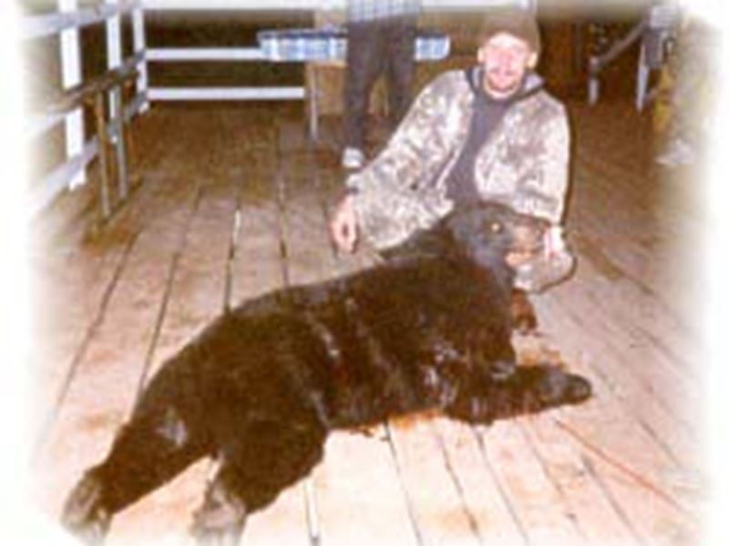 Black Bear Hunt Package, Hearst, Chapleau, Cochrane, Timmins, Kirkland