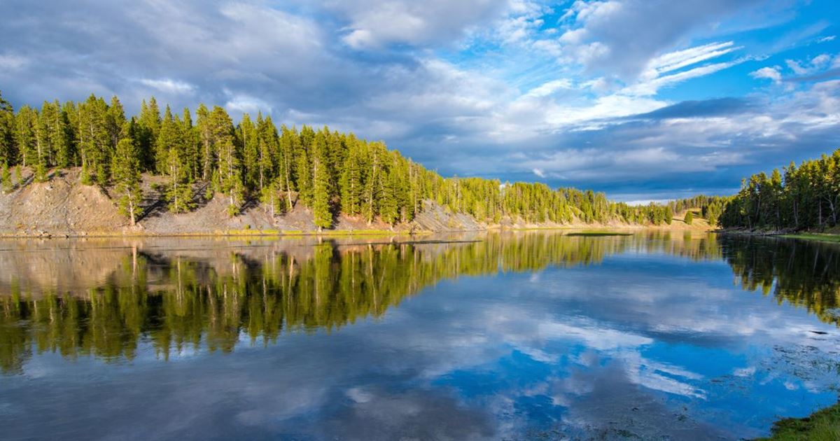 Yellowstone River Fishing Report Gardiner, Montana