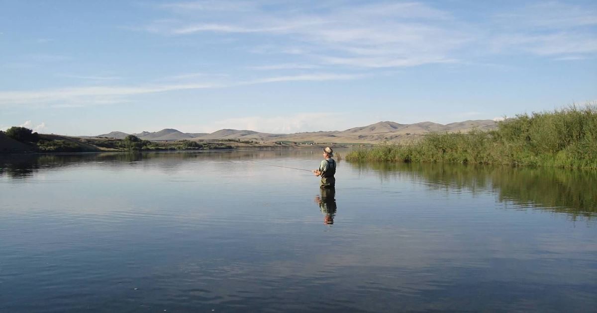 Ennis Lake Fishing Report, Montana