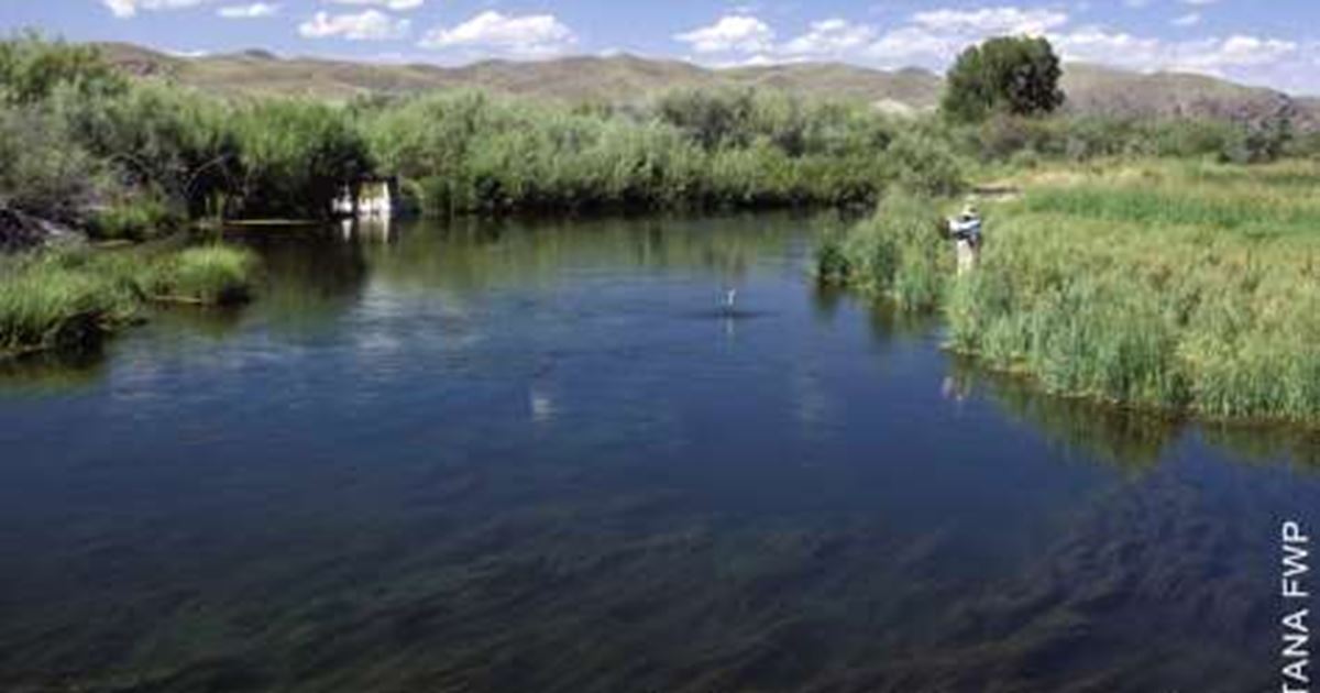 Poindexter Slough Fishing Access Site Dillon, Montana