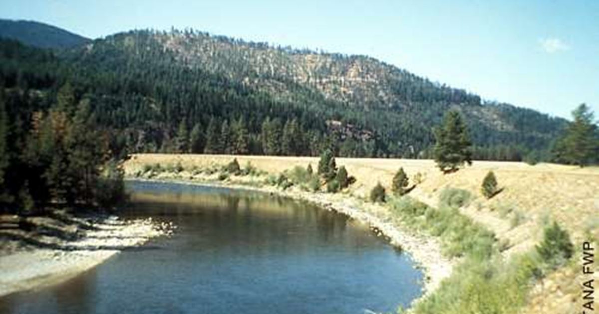 Belmont Creek Fishing Access Site, Montana