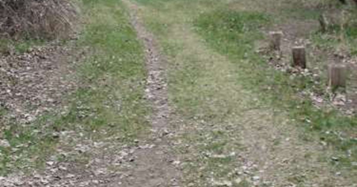 Rosebud East Fishing Access Site Forsyth, Montana