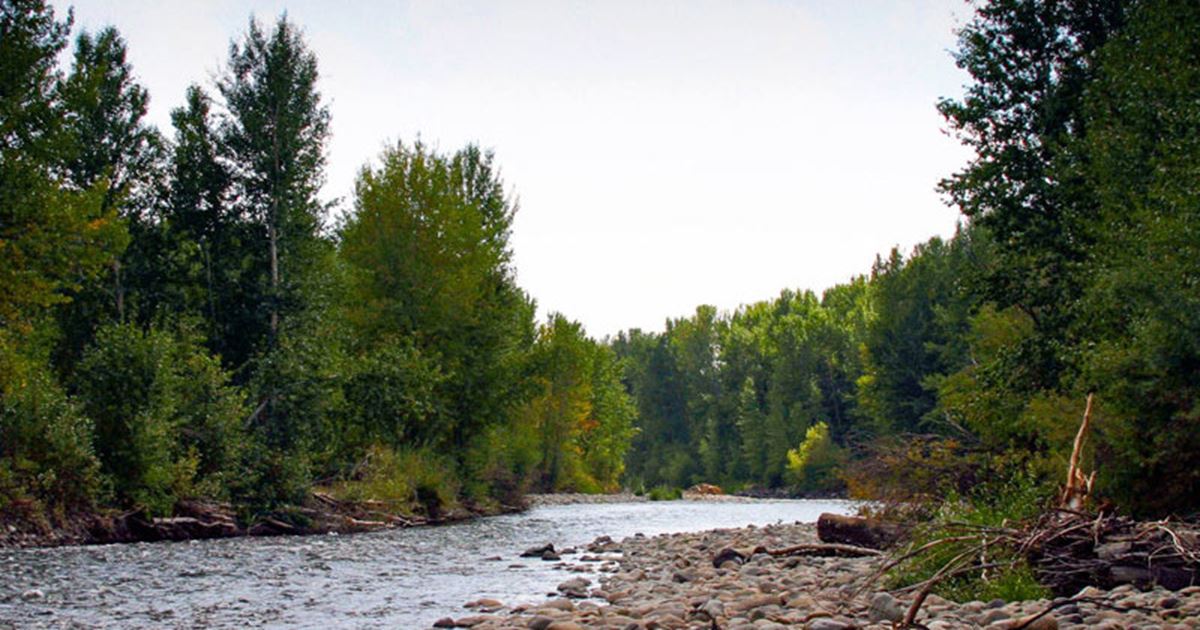 Little Salmon River Fishing Report New Meadows, Idaho