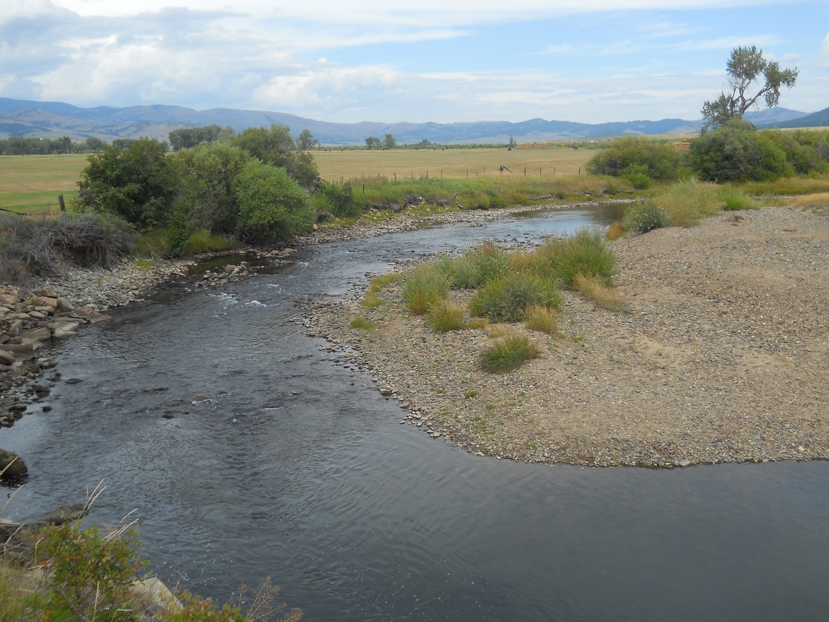 Boulder River Fishing Report Mc Leod, Montana