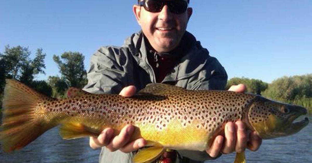 Trout Stalkers Fishing Trip on the Big Hole River Twin Bridges, Montana Trout Stalkers Fishing Trip on the Big Hole River Twin Bridges, Montana