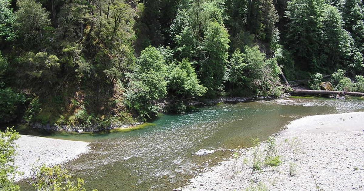 Eel River Fishing Report Fortuna, California
