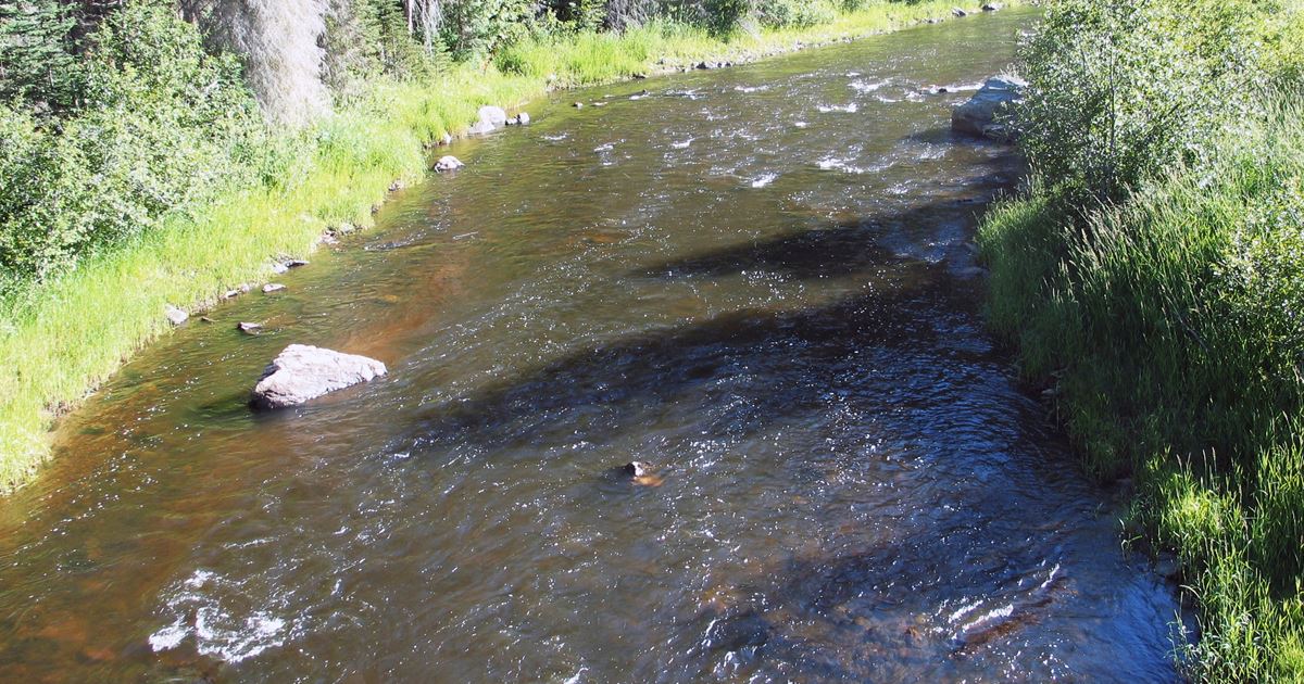 Clearwater River Fishing Report Kooskia, Idaho