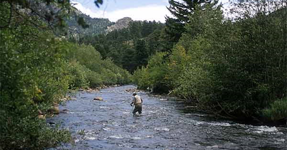 Big Thompson River Fishing Report Drake, Colorado