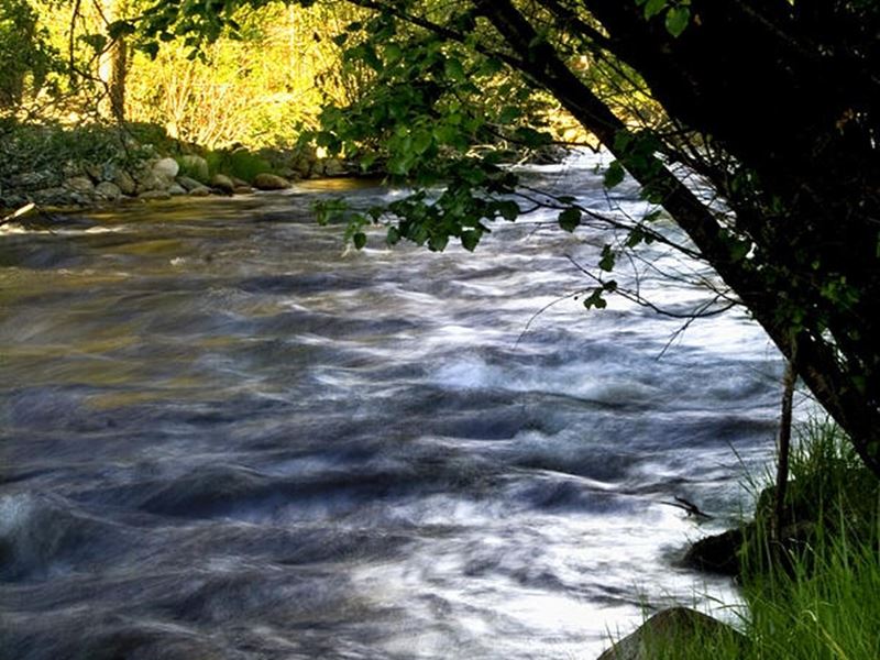 Big Thompson River Fishing Report Drake, Colorado