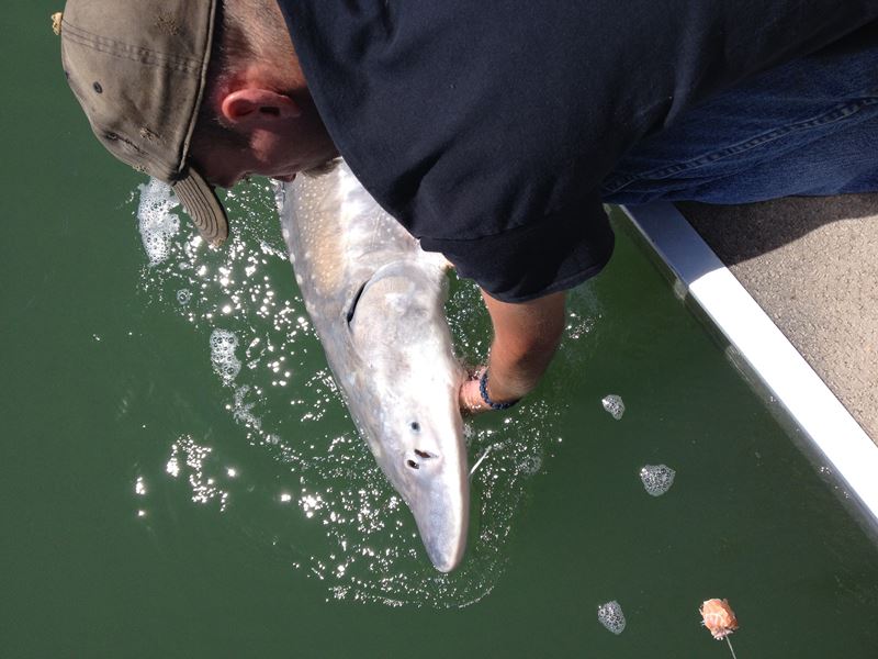 High Desert Outfitters American Falls, Idaho