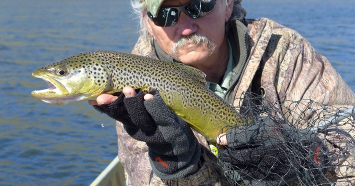 Mark Quigley Dubois, Wyoming