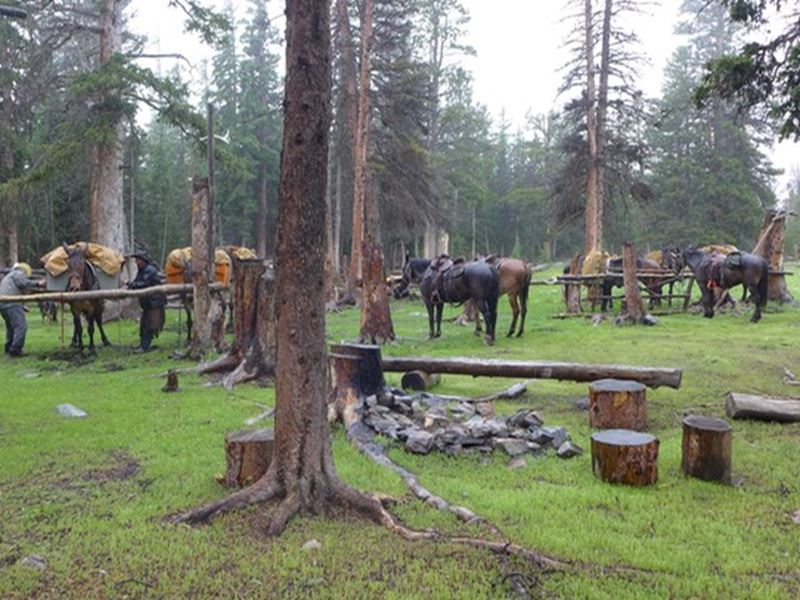 All-inclusive Golden Trout Fishing Trip to the Wind River Mountains