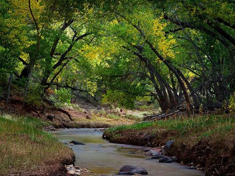 Fremont River Fishing Report Bicknell, Utah