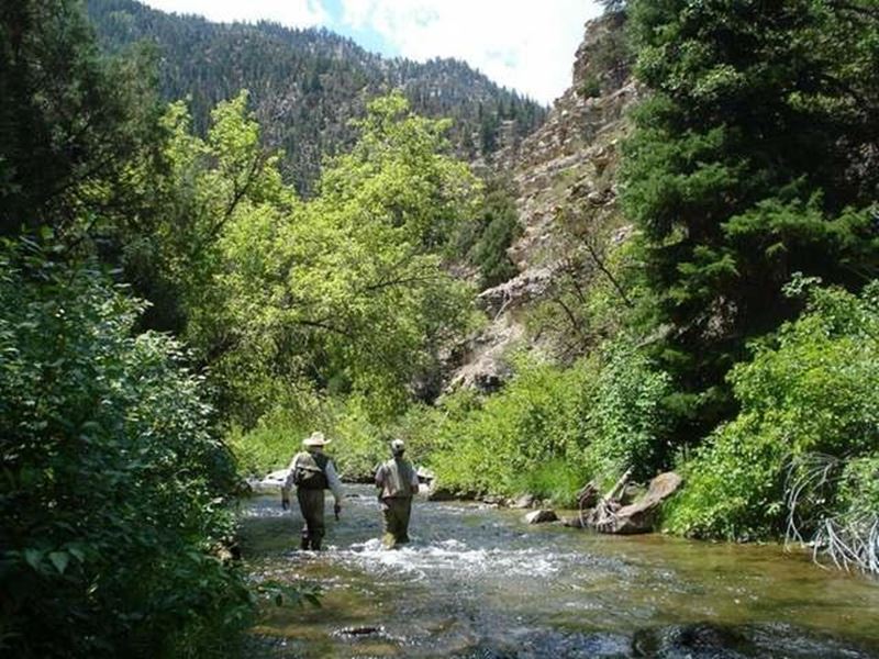 Strawberry River Fishing Report Duchesne, Utah