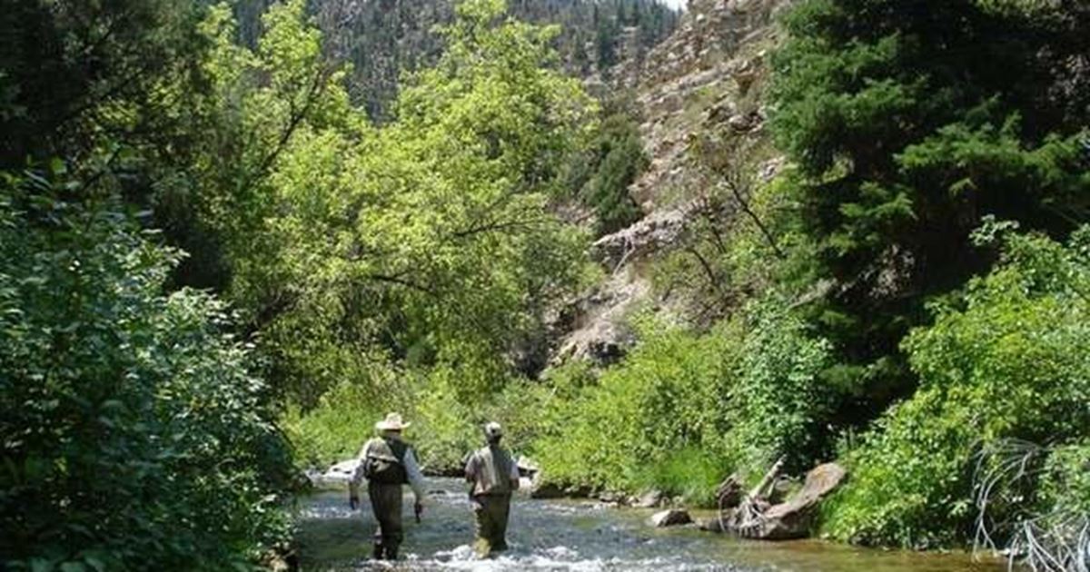 Strawberry River Fishing Report Duchesne, Utah