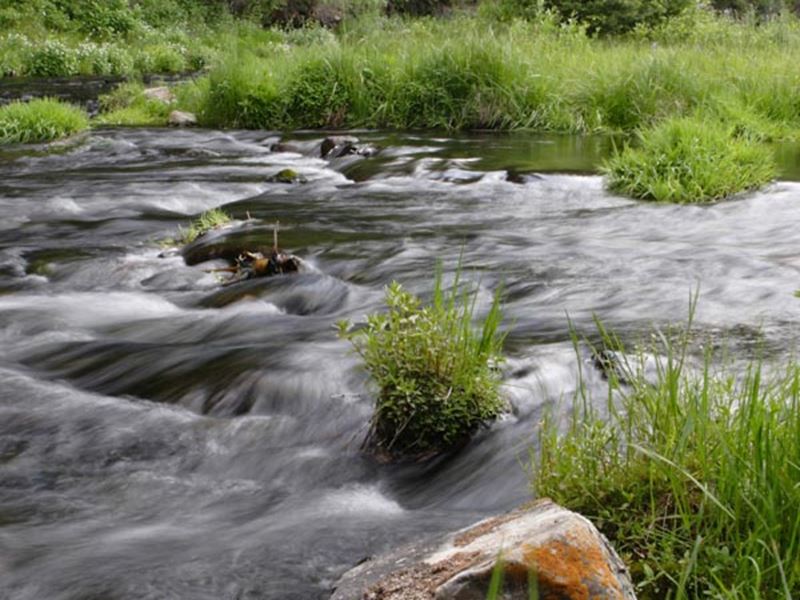 Strawberry River Fishing Report Duchesne, Utah
