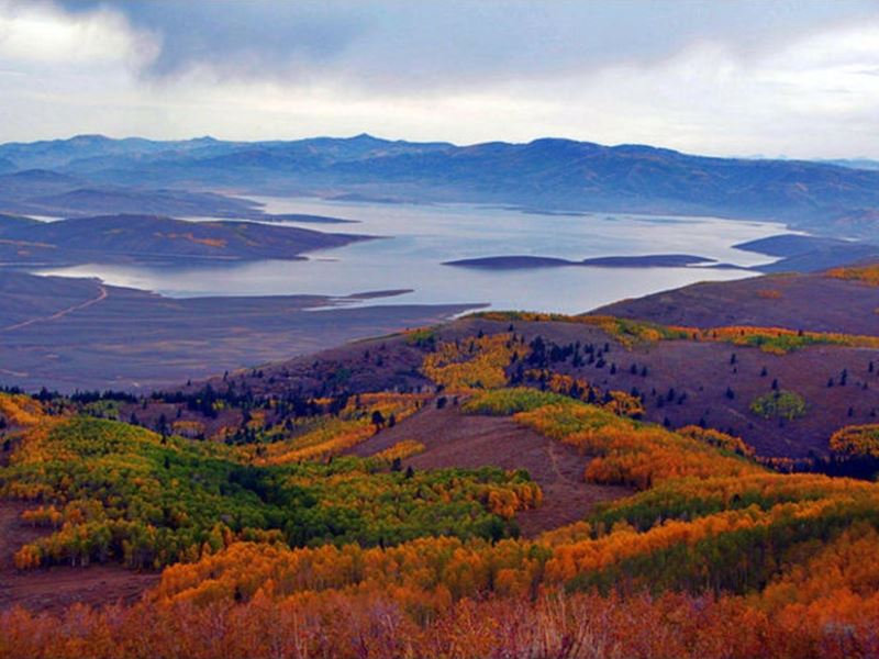 Strawberry River Fishing Report Duchesne, Utah
