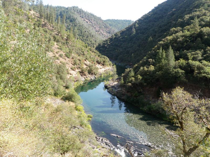 American River Fishing Report - Sacramento, California