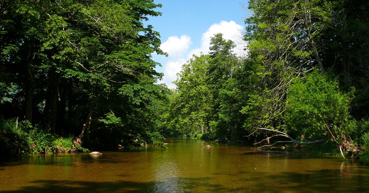 Watauga River Fishing Report Elizabethton, Tennessee