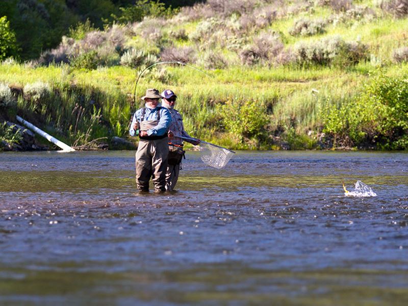 Wade Fly Fishing Trip on the Lower Provo River with Park City Fly