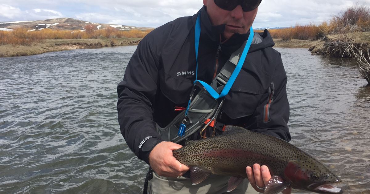 Provo River Fishing Report from Park City Fly Fishing Company