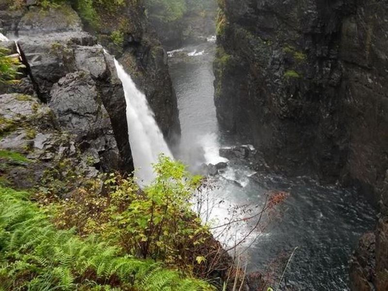 Elk River Fishing Report Fernie, British Columbia