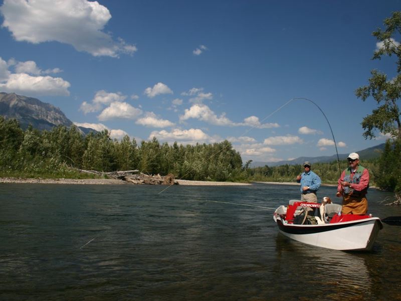 Elk River Fishing Report Fernie, British Columbia