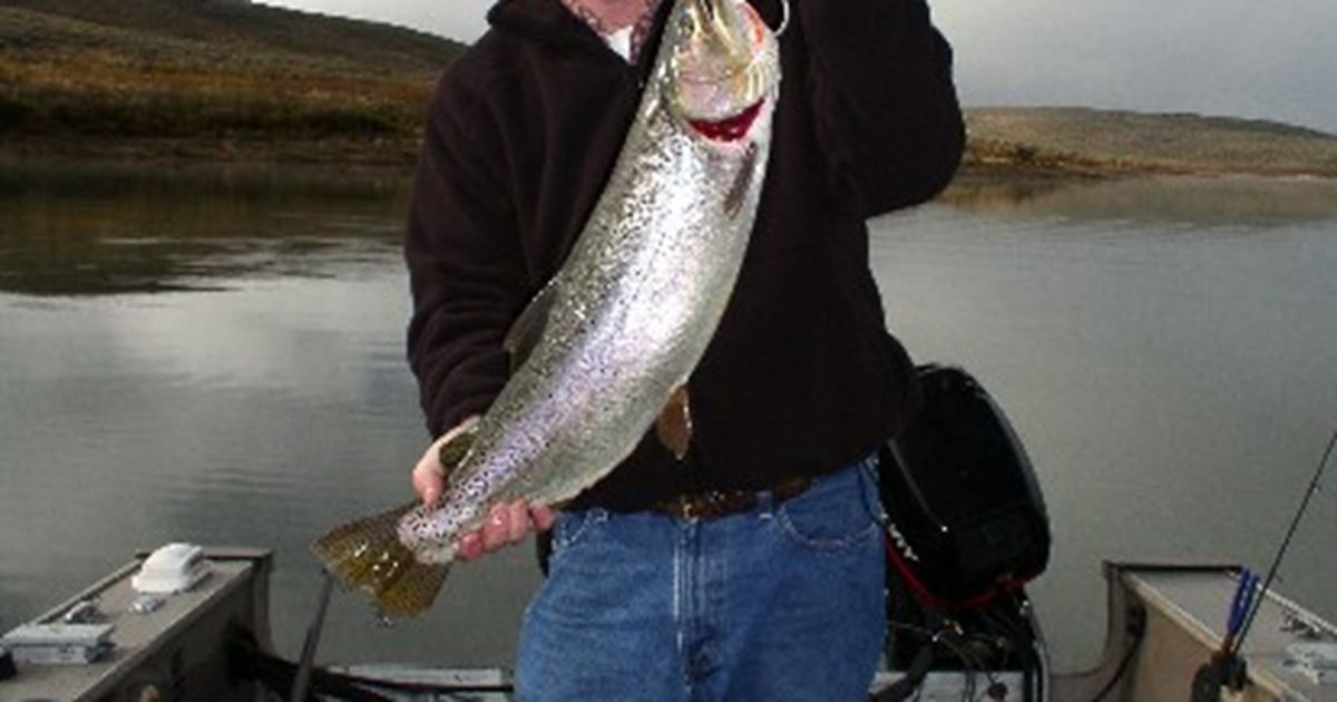 Strawberry River Fishing Report Almost Ice Free