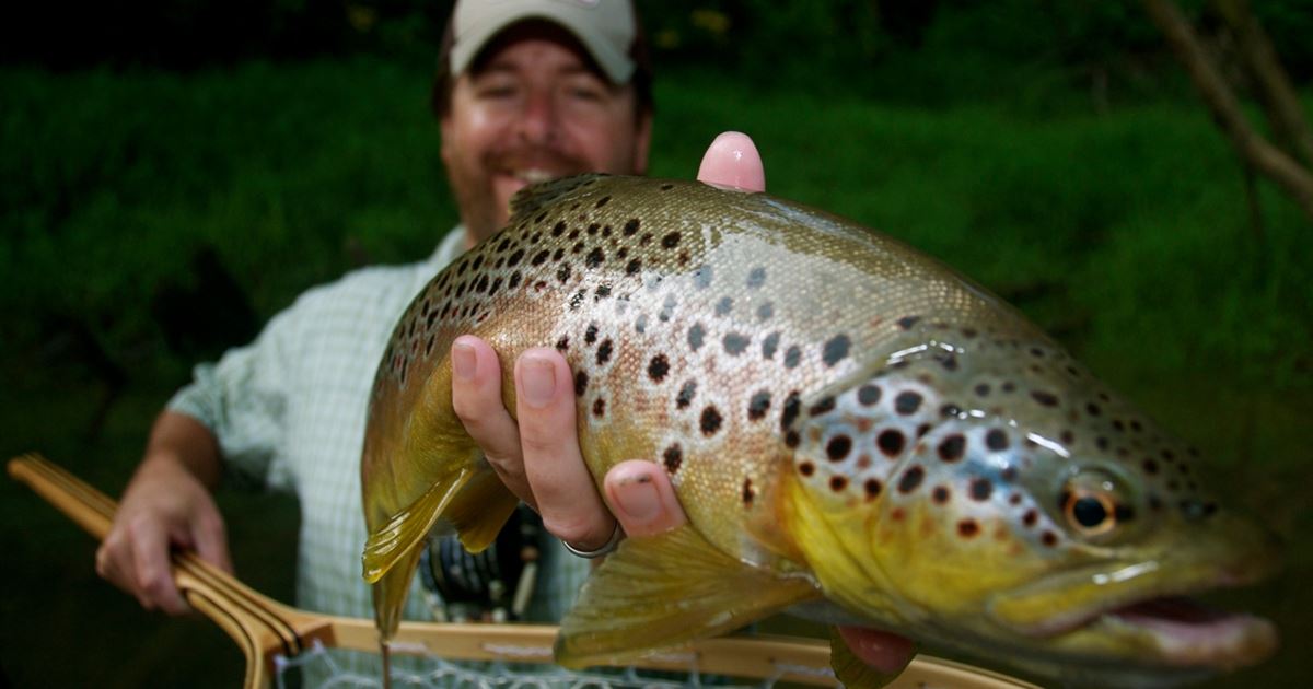 Full Day Float Trip on the Little Red River with Arkansas Drift