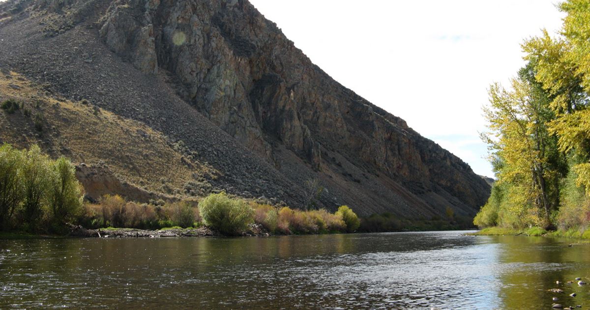 Float Trip on the Big Hole River with Upland Angler Twin Bridges, Montana