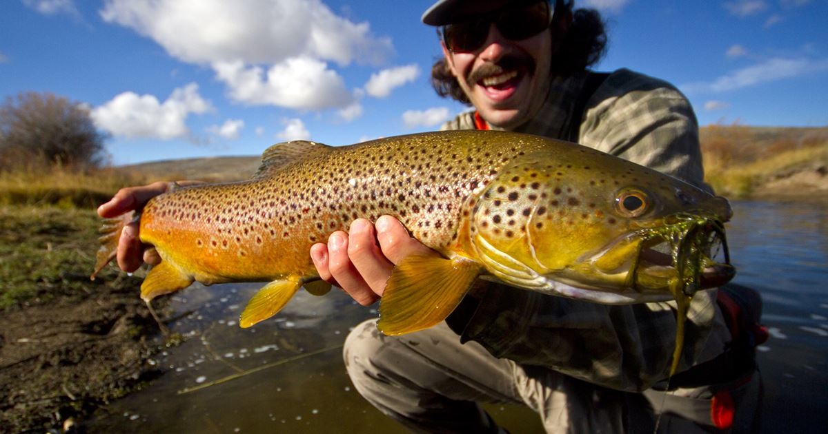 Ogden Half Day Fly Fishing Trip on the er River Ogden, Utah