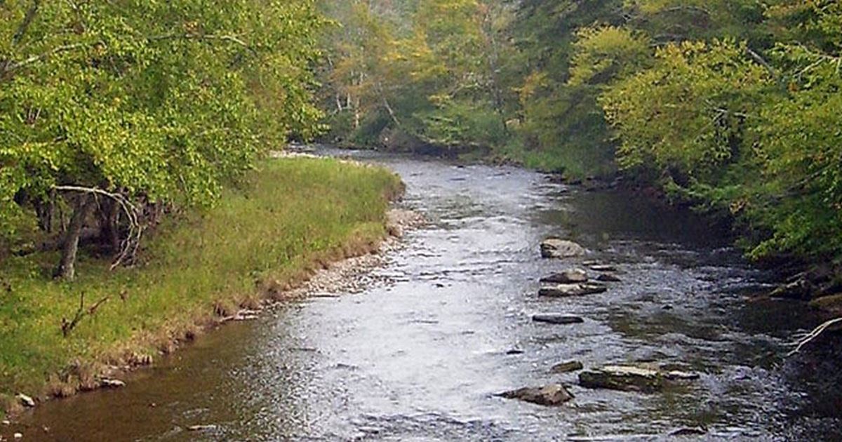 Beaverkill River Fishing Report Roscoe, New York