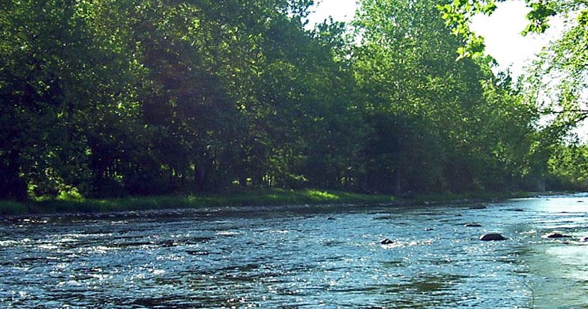 Neversink River Fishing Report Port Jervis, New York