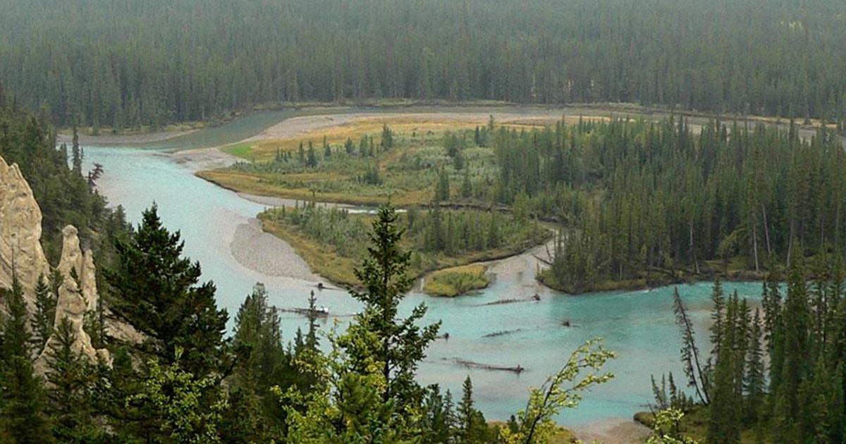 Bow River Fishing Report, Alberta