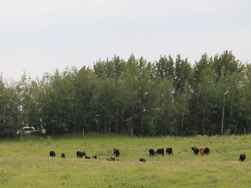 Sungrazer RV parking and camping Lavoy, Alberta