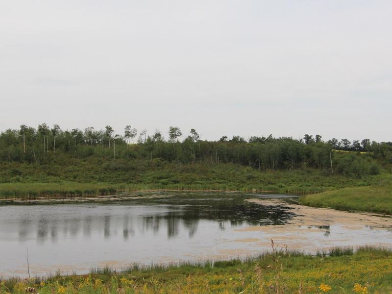 Sungrazer RV parking and camping Lavoy, Alberta