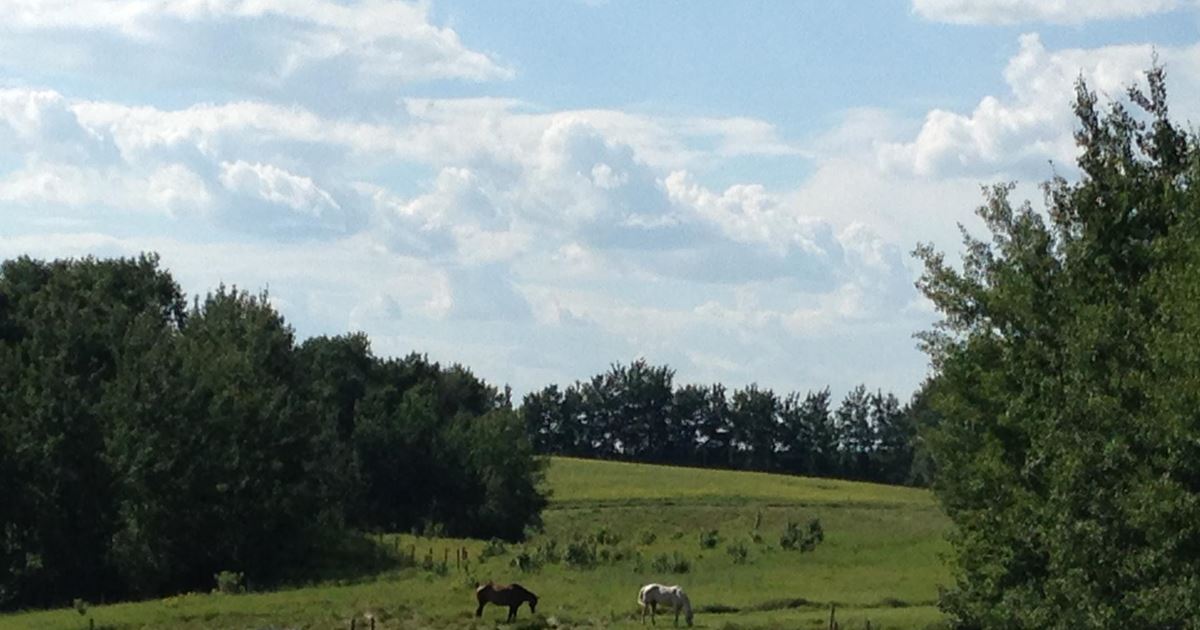 Lucky Finger Lake Chelan, Saskatchewan