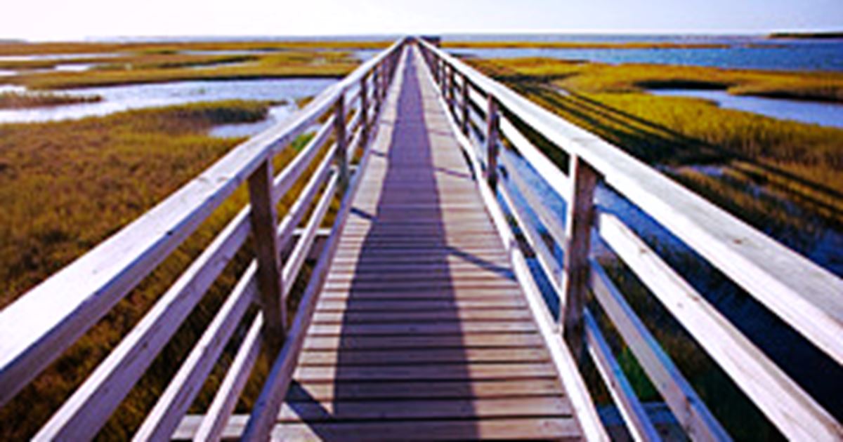 Commitment Living 5 (Vidal House) Falmouth, Massachusetts