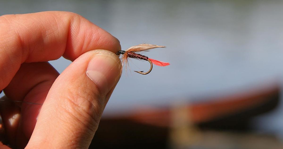 How to Remove a Fishing Hook Stuck in the Skin