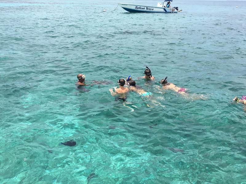 Hol Chan and Shark Ray Alley snorkeling tour w/ Caye Caulker island