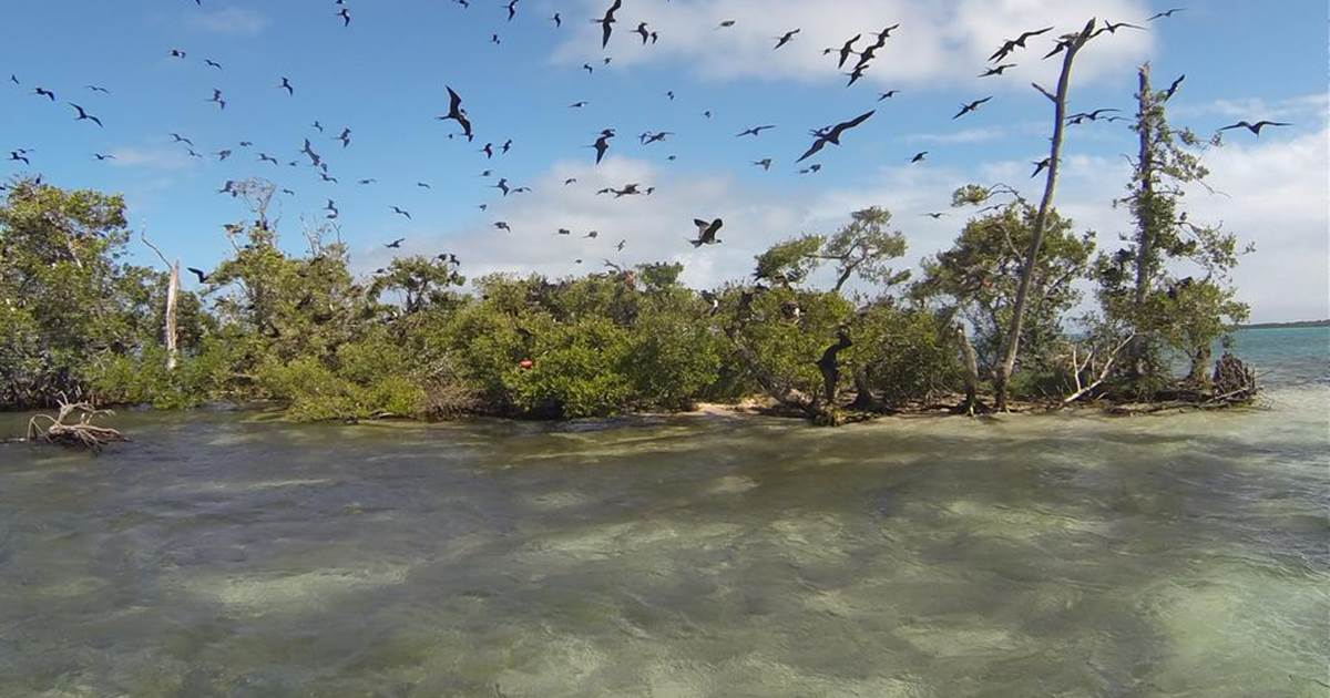 Bird Island Adventure Tour