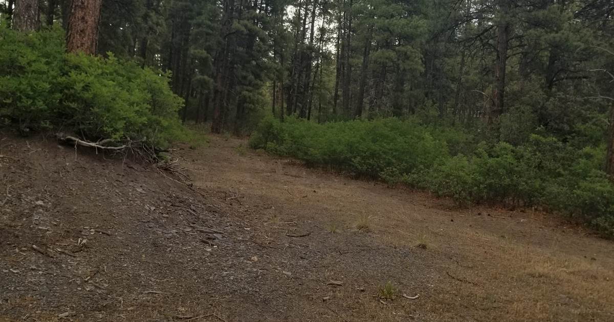 Peaceful boondock camping in the mountains Pagosa Springs, Colorado
