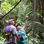 Belize tours including cave tubing snorkeling Mayan ruins and adventures
