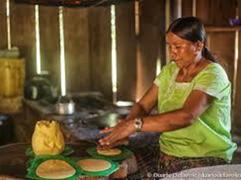 Mayan Food