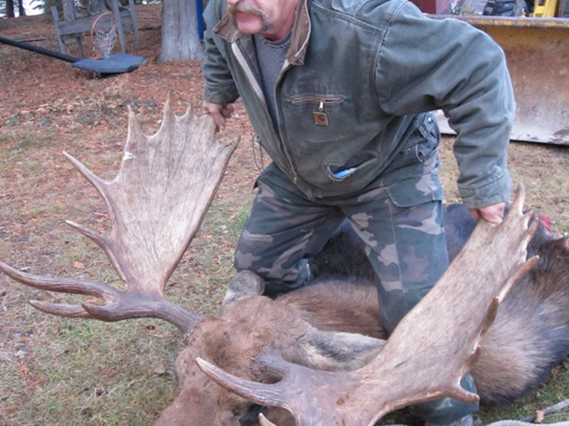 Moose Hunting, Kenora, Red Lake, Dryden, Sioux Lookout, Thunder Bay