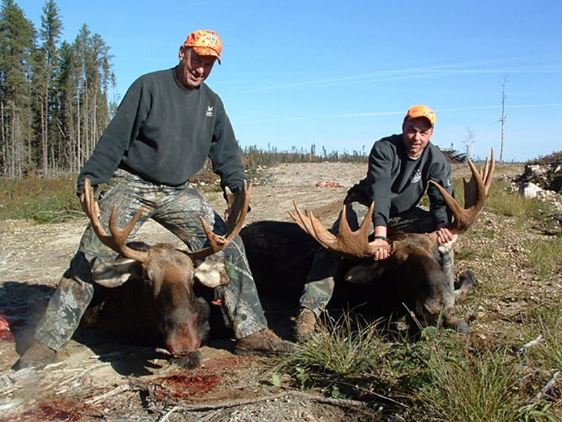 Moose Hunting, Kenora, Red Lake, Dryden, Sioux Lookout, Thunder Bay