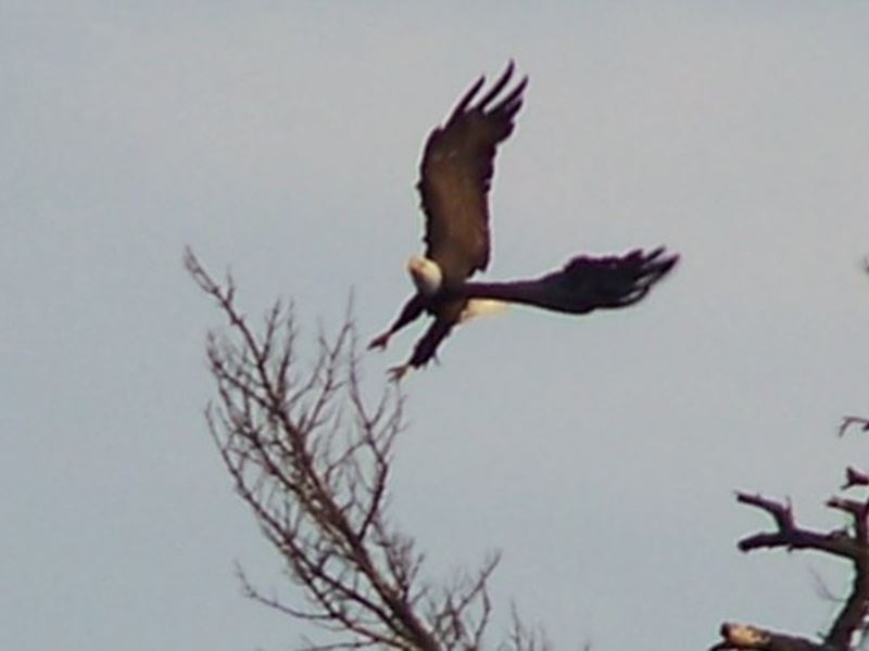 Shoal Lake Lodge, Kenora, Red Lake, Dryden, Sioux Lookout, Thunder Bay
